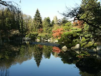 Tea Garden at University of Washington Arboretum in Seattle Wa
